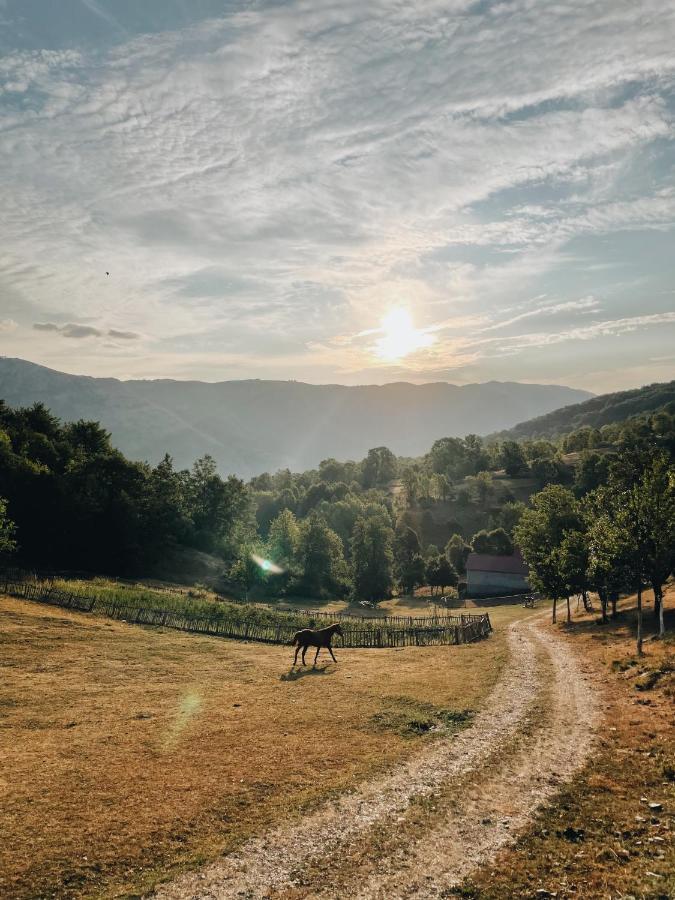 Etno Village Vojnik Savnik Exterior photo