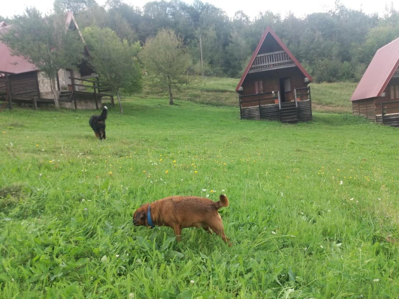 Etno Village Vojnik Savnik Exterior photo