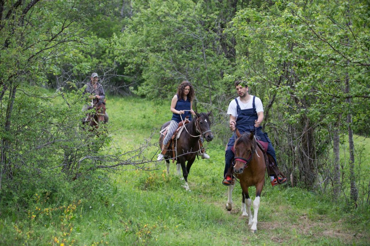 Etno Village Vojnik Savnik Exterior photo